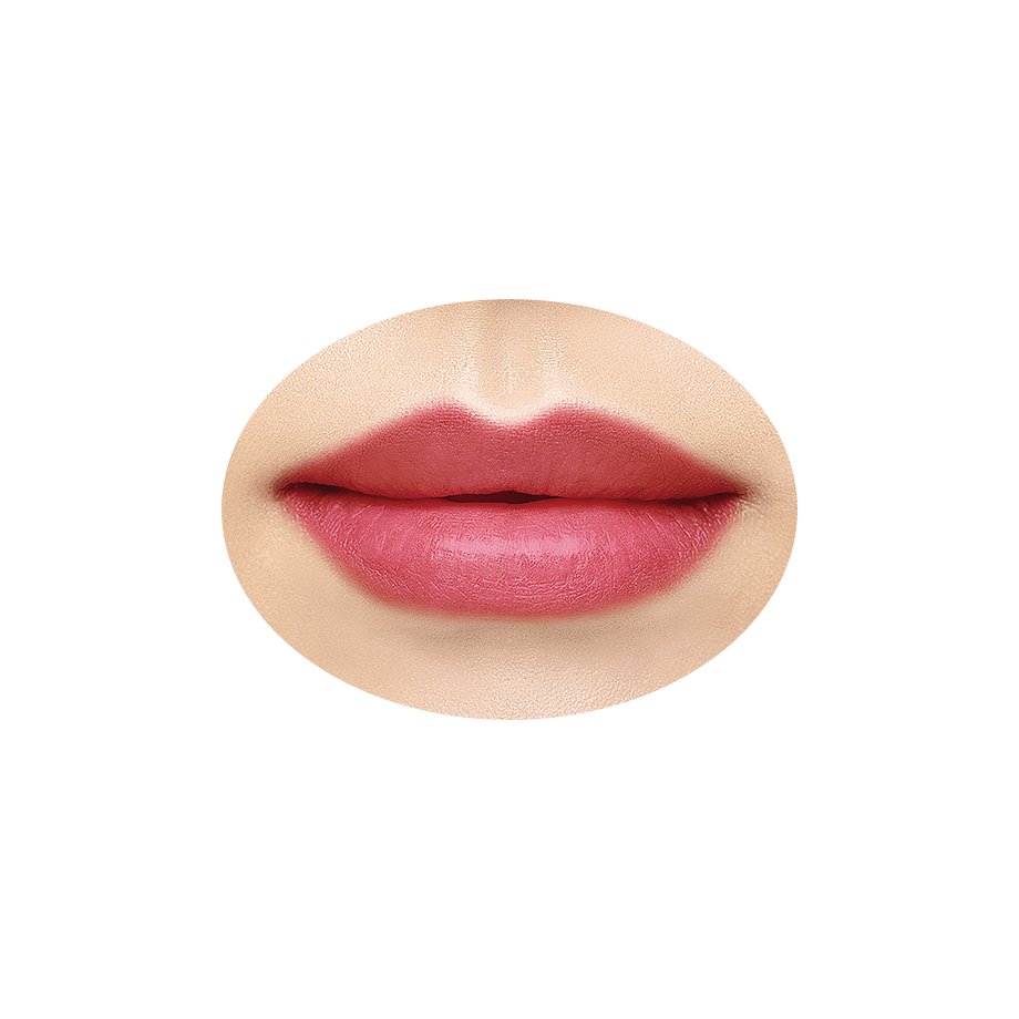 ラスティング リップカラーn Lips Cezanne セザンヌ化粧品